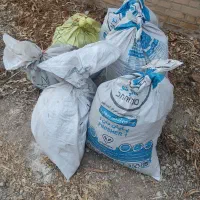 مقداری کودمرغی ته سالن خاکه