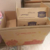 کارتون خالی