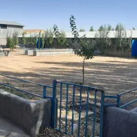 اجاره گوسفنداری