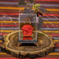 باکس گل جاودان مدل پینار|گل و گیاه طبیعی|تهران, دولاب|دیوار