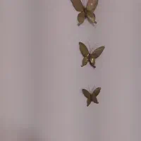 دیوار کوب بزنز نو|مجسمه، تندیس، ماکت|زنجان, |دیوار