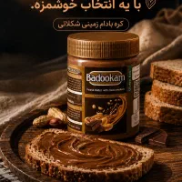 مدیر فروش-صنایع غذایی بادوکام