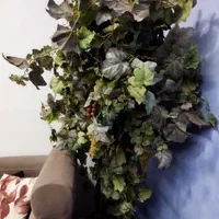درختچه