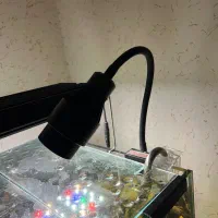 نور زوم دار اکواریوم