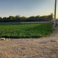 زمین کشاورزی و باغی خوشجا چنگان خوراسگان|فروش دفتر صنعتی، کشاورزی، تجاری|اصفهان, ارداجی|دیوار