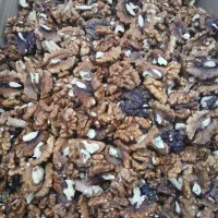 مغز گردو فسنجونی