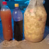 ترشی خوشمزه ابغوره|خوردنی و آشامیدنی|مریوان, |دیوار