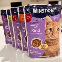 پوچ و بستنی وینستون