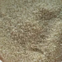 برنج و برنج نیم دانه اصل کامفیروزی