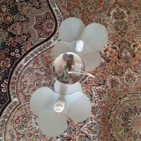 لوستر۲شاخه|لوستر و چراغ آویز|اراک, |دیوار