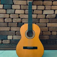 گیتار نیمه‌حرفه‌ای نو