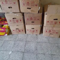 برگ خشک|کلکسیون و سرگرمی|بندر گناوه, |دیوار