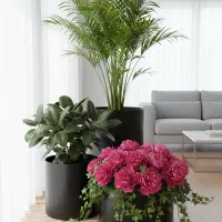 استخدام ادمین ، فروشنده ونیروی خدماتی در لار فارس