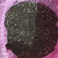 ماش ارتشی. هندی.عمرانی درجه یک