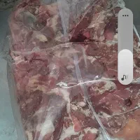 خورده گوشت|عمدهفروشی|ری, شهرک نظامی|دیوار