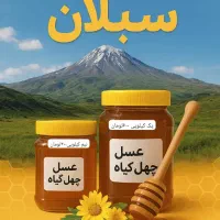 عسل چهل گیاه طبیعی|خوردنی و آشامیدنی|میناب, |دیوار