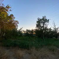 باغچه-700-متری