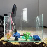 آکواریوم شیشه منحنی|ماهی|قم, پردیسان|دیوار