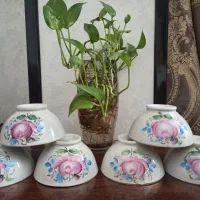 سس خوری گردن آبی