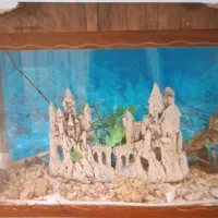 اکواریوم|ماهی|شهرضا, |دیوار