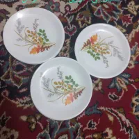 ظروف ملامین|ظروف سرو و پذیرایی|جهرم, |دیوار