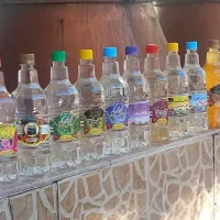 پخش گلاب و عرقیجات گیاهی قمصر