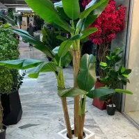 نیروی کار