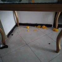 میزو صندلی ۴نفره درحدنونو|میز و صندلی غذاخوری|فولادشهر, B8|دیوار