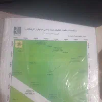 1000متر زمین شاندیز ابراهیم اباد