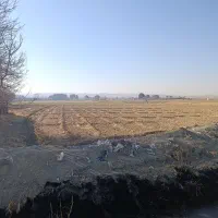 زمین-کشاورزی