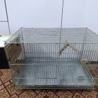 قفس فلزی
