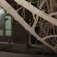 دربست کلنگی۳خاب۱۵۰متر|اجارهٔ خانه و ویلا|اصفهان, مولوی|دیوار