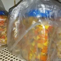 شیره جات وترشی جات خاله لیلا