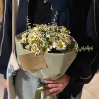 دسته گل بابونه و عروس