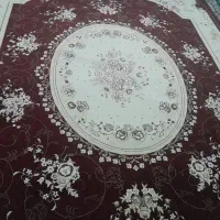 قالی ۱۲ متری