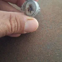 تعدادی انگشتر فاخر