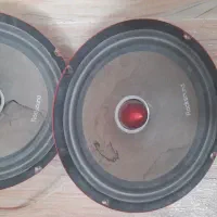 یه جفت میدرنج سایز بزرگ