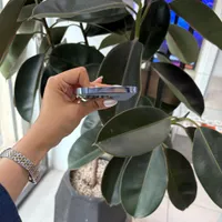 اپل iPhone 13 Pro با حافظهٔ ۲۵۶ گیگابایت|موبایل|تهران, شهرک غرب|دیوار