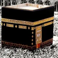فروش یدونه فیش حج تمتع سال 86