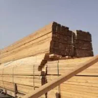 بورس انواع تخته نراد روسی جنگلی|عمدهفروشی|رشت, کوی طالقانی|دیوار