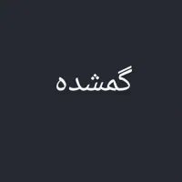کیف مدارک گمشده