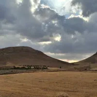 زمین کشاورزی