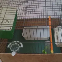 قفس ولوازم پرنده|لوازم جانبی حیوانات|بهارستان, |دیوار