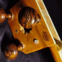 تار حرفه ای رشیدی ملایری|سازهای سنتی|تهران, قبا|دیوار