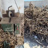 شاگرد چوبری کار  با فارسی بر پاره وقت