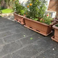 فلاورباکس بزرگ|گل و گیاه طبیعی|تهران, قلهک|دیوار