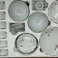 ظروف چینی