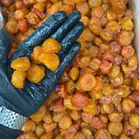 برنج و محصولات طبیعی|خوردنی و آشامیدنی|خرمشهر, |دیوار