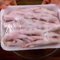 غذا سگ گربه