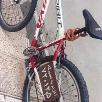 دوچرخه|دوچرخه، اسکیت، اسکوتر|مشگین شهر, |دیوار